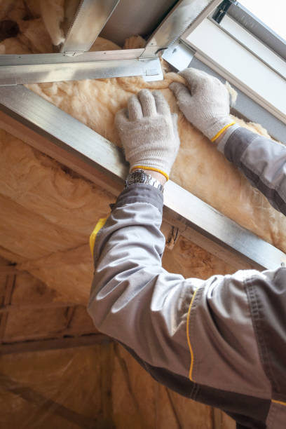 Best Insulation Removal Services  in Fairfield Harbour, NC