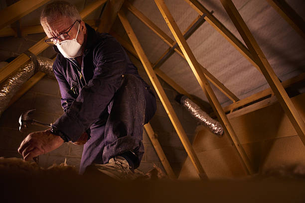 Best Insulation Contractors for Homes  in Fairfield Harbour, NC