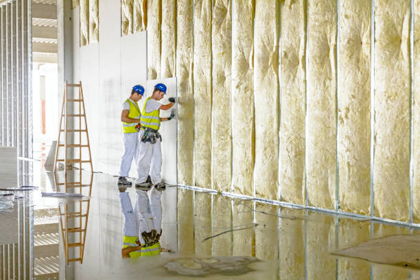 Best Garage Insulation Installation  in Fairfield Harbour, NC